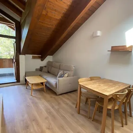 Bpirineos- Aire Pirineos شقة *